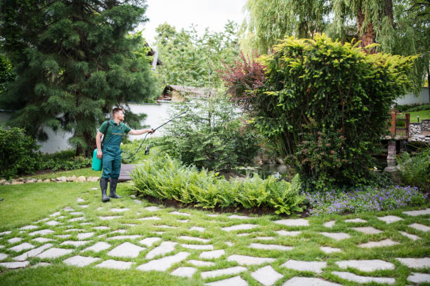 Wasp Removal Services in Sharon Hill, PA